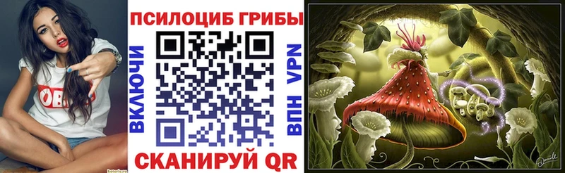 Галлюциногенные грибы Psilocybe  закладки  Верхняя Пышма 